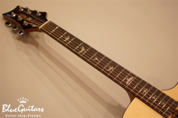 SE Acoustic ANGELUS A30E