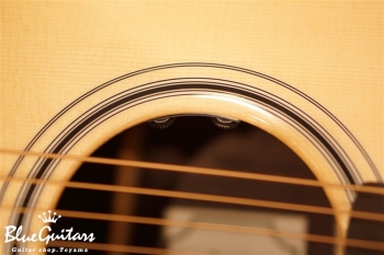 SE Acoustic ANGELUS A30E