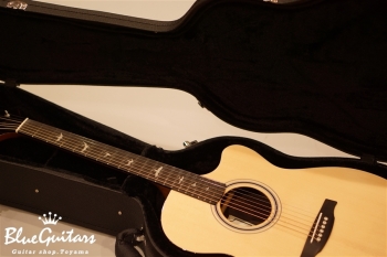 SE Acoustic ANGELUS A30E