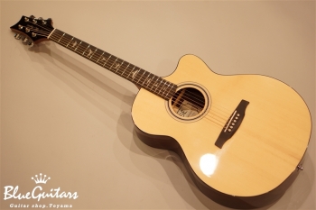 SE Acoustic ANGELUS A30E