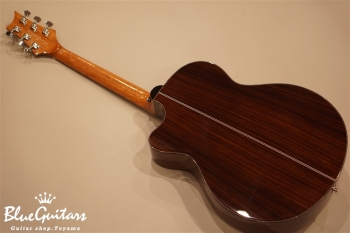 SE Acoustic ANGELUS A30E