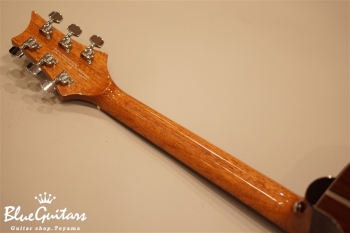 SE Acoustic ANGELUS A30E