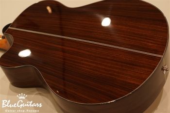 SE Acoustic ANGELUS A30E