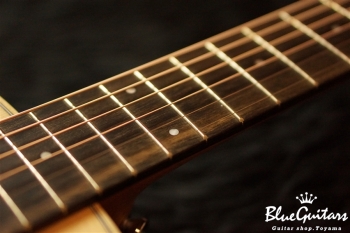 GS Mini-e Walnut