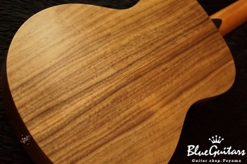 GS Mini-e Walnut