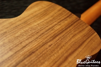 GS Mini-e Walnut