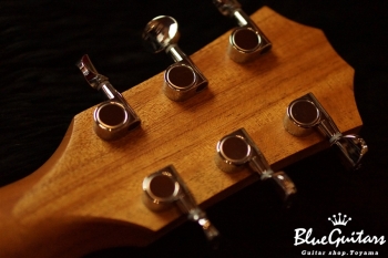 GS Mini-e Walnut