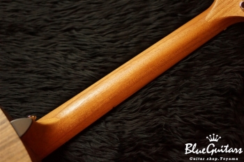 GS Mini-e Walnut