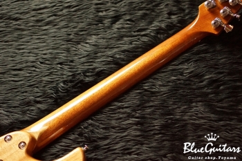 Amnis Radix - Yuya Komoguchi specs -