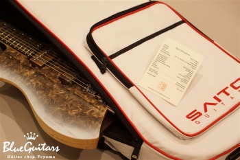 S-HL7 Ash/E - Ptarmigan