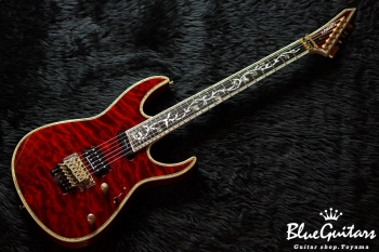 Edwards E-CY-165CTM ジャンク 抜け殻（EDWARDS E-CY-165CTM
