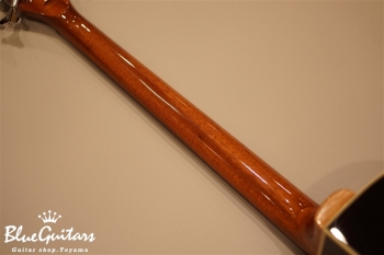 Rock Bass Alien Standard 4st