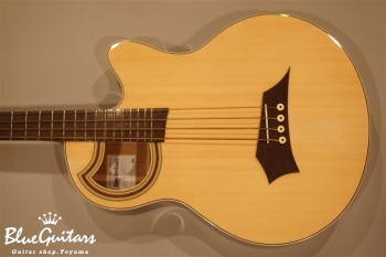 Rock Bass Alien Standard 4st