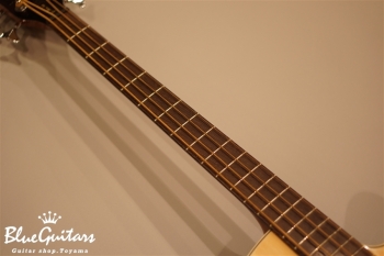 Rock Bass Alien Standard 4st