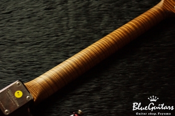 XSC-2 BK overPink Paisley/Alder/M/Master Grade Neck - Music Fair 2018 Show Special