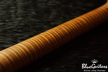 XSC-2 BK overPink Paisley/Alder/M/Master Grade Neck - Music Fair 2018 Show Special