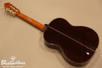 720 松 (Spruce) / 650mm