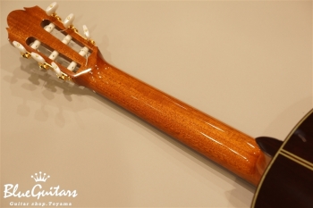 720 松 (Spruce) / 650mm