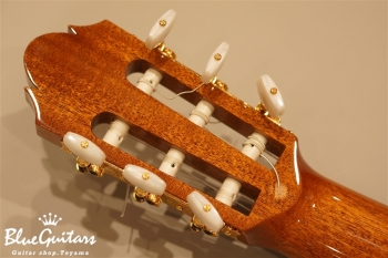 720 松 (Spruce) / 650mm