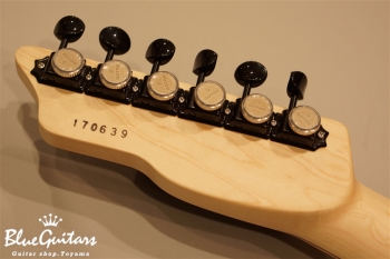 S-622 Ash/M - Cineraria