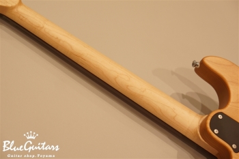 S-622 SSS Alder/R - Chamonix White