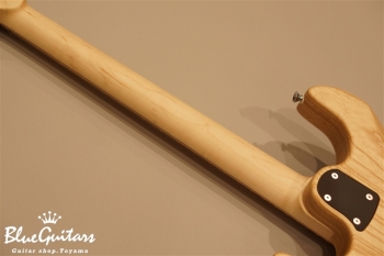 S-622 SSS Ash/M - Blue Scale