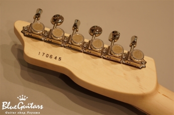 S-622 SSS Ash/M - Blue Scale