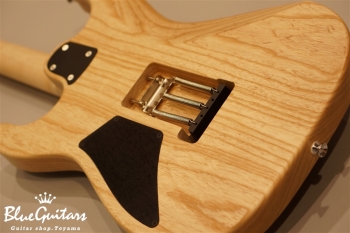 S-622 SSS Ash/M - Blue Scale