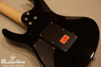 Modern Pro Floyd HH - Trans Honey Amber Burst