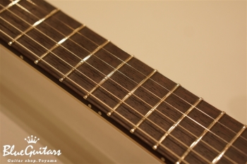 S-622TLC Ash/R - Black(Openpore) w/Matching Head