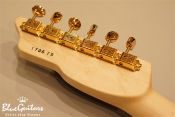 S-622TLC Alder/R - Maroon w/Matching Head