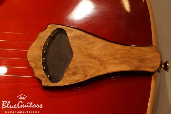 Arcus n’s (Deep Body) – Sunset Burst