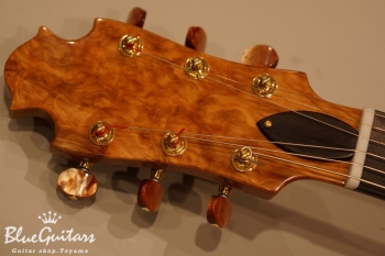 Arcus n’s (Deep Body) – Sunset Burst