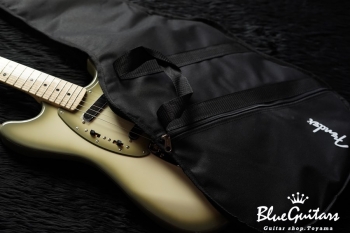 Limited Edition Made in Japan Antigua Mustang