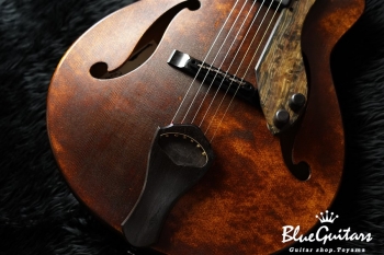 Arcus Thinbody Archtop - Organic Texture