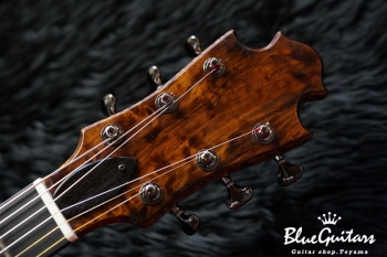 Arcus Thinbody Archtop - Organic Texture