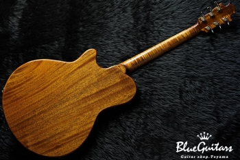 Arcus Thinbody Archtop - Organic Texture