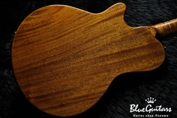 Arcus Thinbody Archtop - Organic Texture
