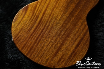 Arcus Thinbody Archtop - Organic Texture