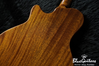 Arcus Thinbody Archtop - Organic Texture