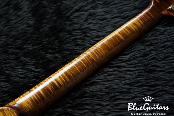 Arcus Thinbody Archtop - Organic Texture