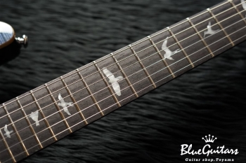 SE Custom 24 - Whale Blue