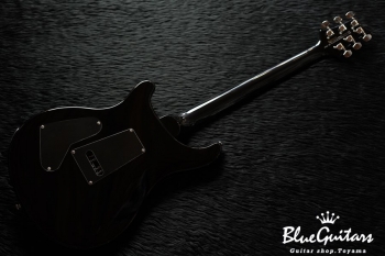 SE Custom 24 - Whale Blue