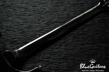 SE Custom 24 - Whale Blue