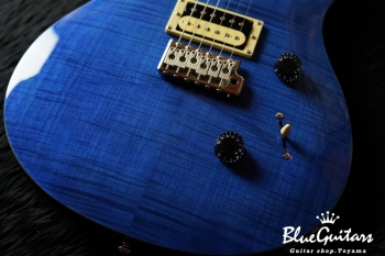 SE Custom 24 - Blue Matteo