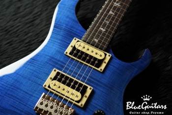 SE Custom 24 - Blue Matteo