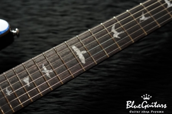 SE Custom 24 - Blue Matteo