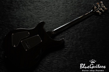 SE Custom 24 - Blue Matteo