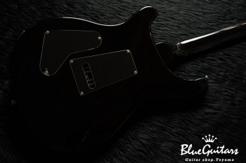 SE Custom 24 - Blue Matteo