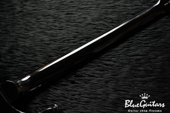 SE Custom 24 - Blue Matteo